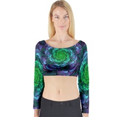 Beautiful Purple & Green Aeonium Arboreum Zwartkop Long Sleeve Crop Top by jayaprime