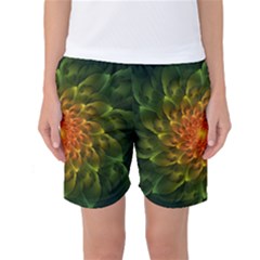 Beautiful Orange-green Desert Cactus Fractalspiral Women s Basketball Shorts by jayaprime