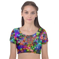 Background Color Pattern Structure Velvet Short Sleeve Crop Top 