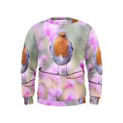 Spring Bird Bird Spring Robin Kids  Sweatshirt