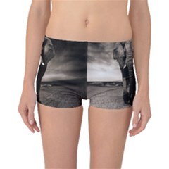 Elephant Black And White Animal Boyleg Bikini Bottoms by Celenk