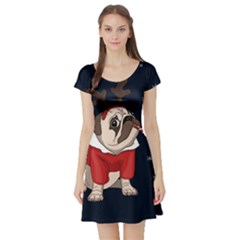 Pug Xmas Short Sleeve Skater Dress by Valentinaart