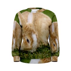 Beautiful Blue Eyed Bunny On Green Grass Women s Sweatshirt by Ucco