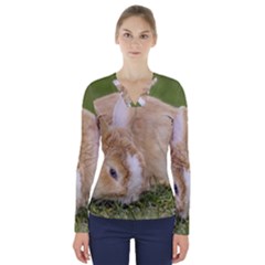 Beautiful Blue Eyed Bunny On Green Grass V-neck Long Sleeve Top