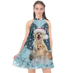 It s Winter And Christmas Time, Cute Kitten And Dogs Halter Neckline Chiffon Dress  by FantasyWorld7