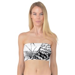 Animal Bird Forest Nature Owl Bandeau Top by Celenk