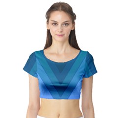 Tri 04 Short Sleeve Crop Top by jumpercat