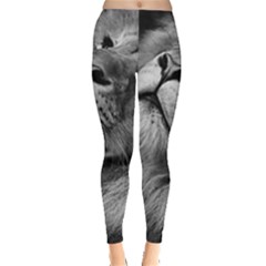 Feline Lion Tawny African Zoo Leggings  by BangZart