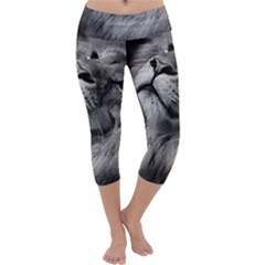 Feline Lion Tawny African Zoo Capri Yoga Leggings by BangZart