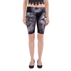 Feline Lion Tawny African Zoo Yoga Cropped Leggings by BangZart