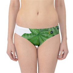 Plant Berry Leaves Green Flower Hipster Bikini Bottoms by BangZart