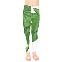 Plant Berry Leaves Green Flower Kids  Legging