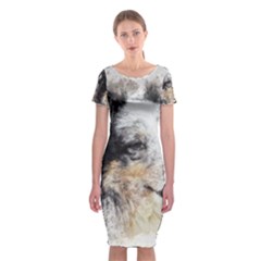 Dog Shetland Pet Art Abstract Classic Short Sleeve Midi Dress by Celenk