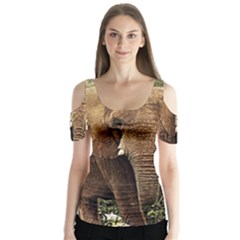 Elephant Animal Art Abstract Butterfly Sleeve Cutout Tee 