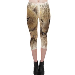 Lion Cub Close Cute Eyes Lookout Capri Leggings 