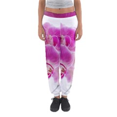 Orchid Phaleonopsis Art Plant Women s Jogger Sweatpants by Celenk