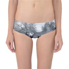 Holstein Fresian Cows Fresian Cows Classic Bikini Bottoms by Celenk