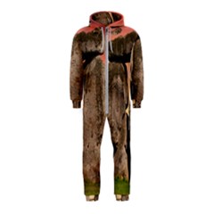 Stonehenge Ancient England Hooded Jumpsuit (kids) by Celenk
