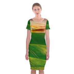 Hills Countryside Sky Rural Classic Short Sleeve Midi Dress by Celenk