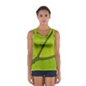 Green Leaf Plant Nature Structure Sport Tank Top  View1