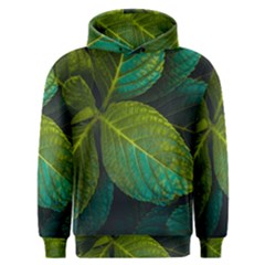 Green Plant Leaf Foliage Nature Men s Overhead Hoodie by Nexatart