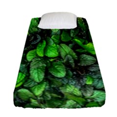 The Leaves Plants Hwalyeob Nature Fitted Sheet (single Size) by Nexatart