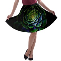 Nature Desktop Flora Color Pattern A-line Skater Skirt by Nexatart