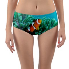 Clownfish 3 Reversible Mid-waist Bikini Bottoms