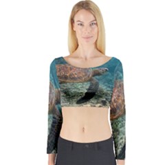 Sea Turtle 3 Long Sleeve Crop Top by trendistuff