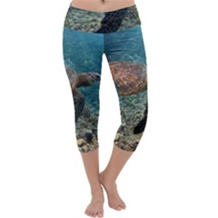 Sea Turtle 3 Capri Yoga Leggings