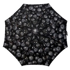 Blueberries 1 Straight Umbrellas by trendistuff