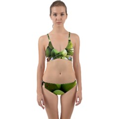Coconuts 1 Wrap Around Bikini Set by trendistuff