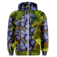 Grapes 1 Men s Zipper Hoodie by trendistuff