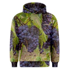 Grapes 4 Men s Overhead Hoodie by trendistuff