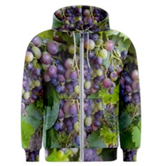 Grapes 2 Men s Zipper Hoodie by trendistuff