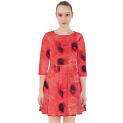 Watermelon 3 Smock Dress by trendistuff