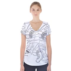 Brain Chart Diagram Face Fringe Short Sleeve Front Detail Top by Nexatart