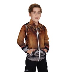 The Tiger Face Wind Breaker (kids) by Nexatart