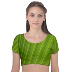 Green Leaf Pattern Plant Velvet Short Sleeve Crop Top  by Sapixe