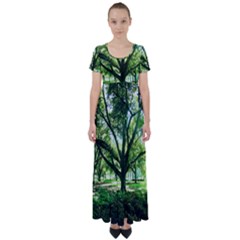 Highland Park 14 High Waist Short Sleeve Maxi Dress by bestdesignintheworld