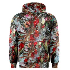 Dscf2312 Eden Garden-2 Men s Pullover Hoodie by bestdesignintheworld