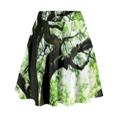 Lake Park 6 High Waist Skirt by bestdesignintheworld