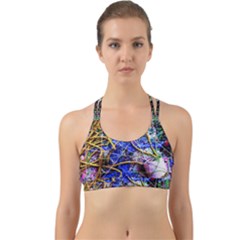 Moment Of The Haos 12 Back Web Sports Bra