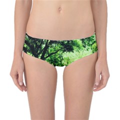 Lake Park 14 Classic Bikini Bottoms by bestdesignintheworld