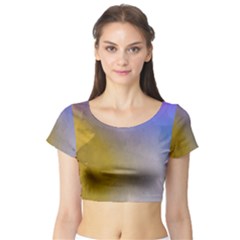 Abstract Smooth Background Short Sleeve Crop Top by Modern2018