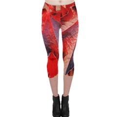 Wine Partner Wild Vine Leaves Plant Capri Leggings  by Sapixe