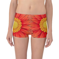 Flower Plant Petal Summer Color Boyleg Bikini Bottoms by Sapixe