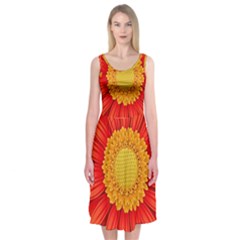 Flower Plant Petal Summer Color Midi Sleeveless Dress by Sapixe