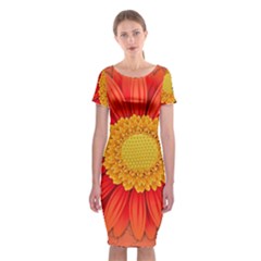 Flower Plant Petal Summer Color Classic Short Sleeve Midi Dress by Sapixe