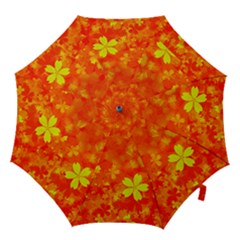 Background Reason Pattern Design Hook Handle Umbrellas (medium)